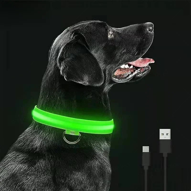 3 Modes chien collier de Charge lumineux Led Usb chat chiens colliers détachable nuit Led lueur chien perte prévention collier accessoires pour animaux de compagnie