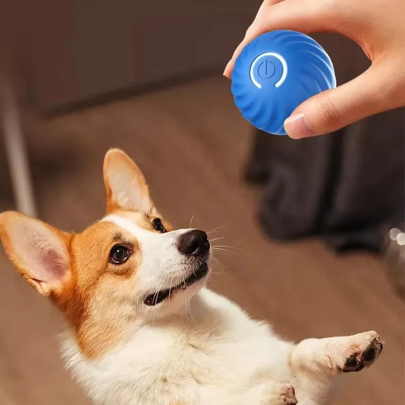 고양이 상호 작용 공 훈련, 자가 이동 고양이 전기 고양이 공 장난감, 전자 자동 롤링 매직 볼 장난감