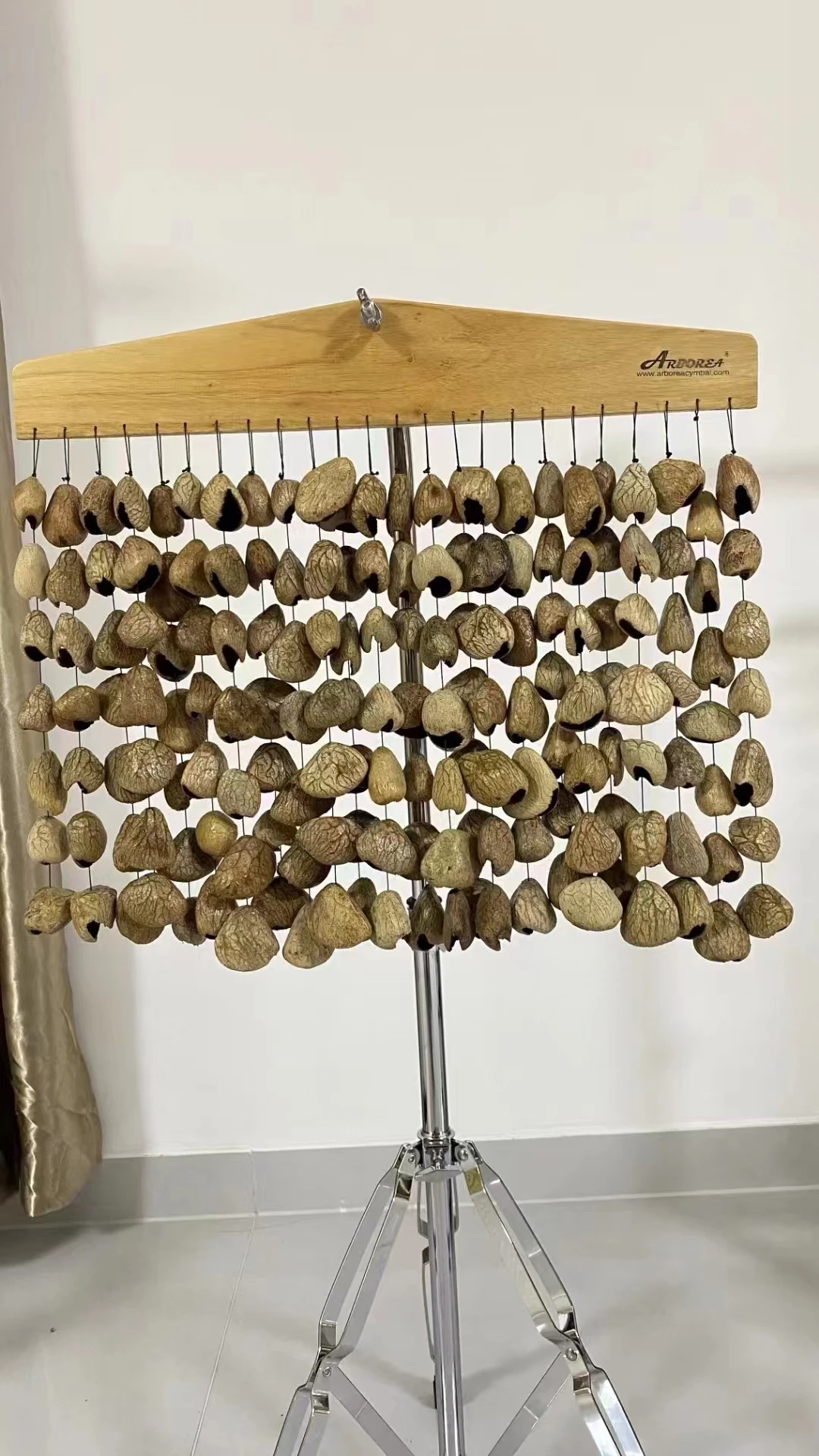 Fruit Shell Meditation Chimes Panji Seed Shell Plant Fruit Musical Accompaniment Hand Rattle Percussion Instruments