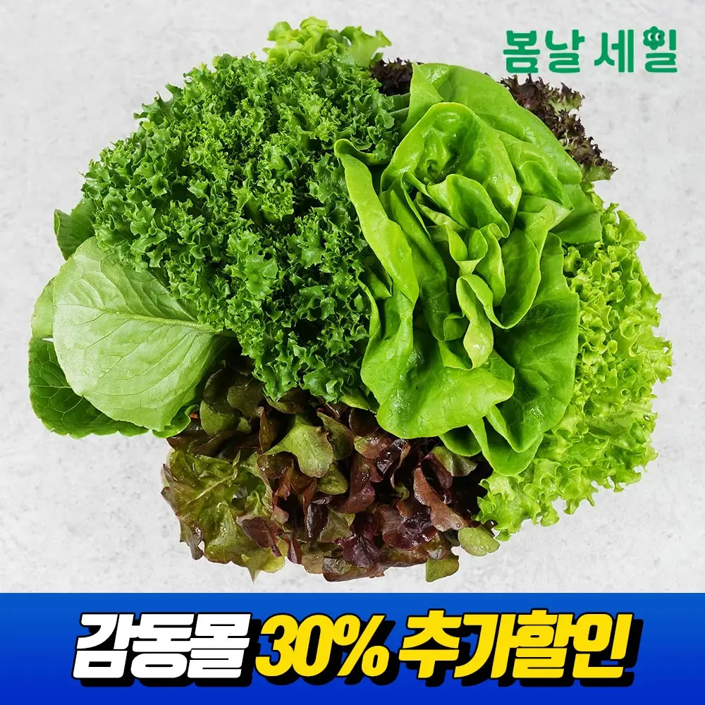 내고향푸드 쌈채소/1kg of European-type salad ssam vegetables 5-6 species