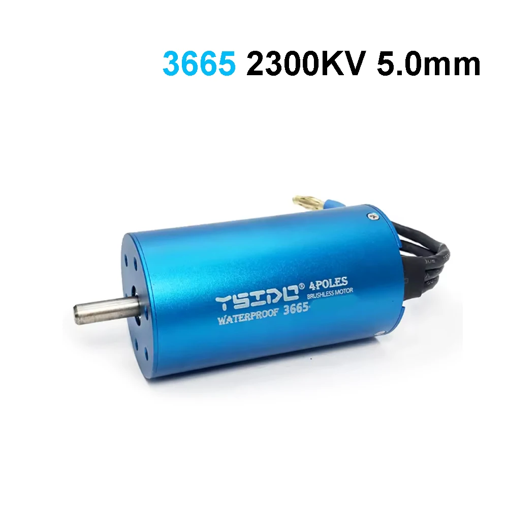 YSIDO 3650 3660 3665 3674 4500KV 5400KV Borstelloze Motor Waterdicht voor 1/10 1/12 Traxxas HSP RedCat Tamiya SCX10 RC Crawler Auto's