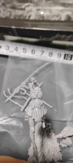 Buyer photo of this resin kit