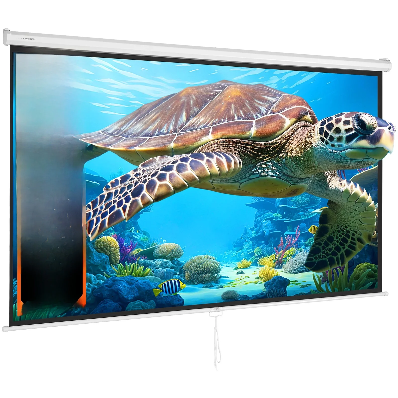 SucceBuy Handmatig uittrekbaar projectorscherm 100 inch 16:9 4K 1080 HD Intrekbaar projectorscherm voor familie thuiskantoor Theater - afbeelding 2