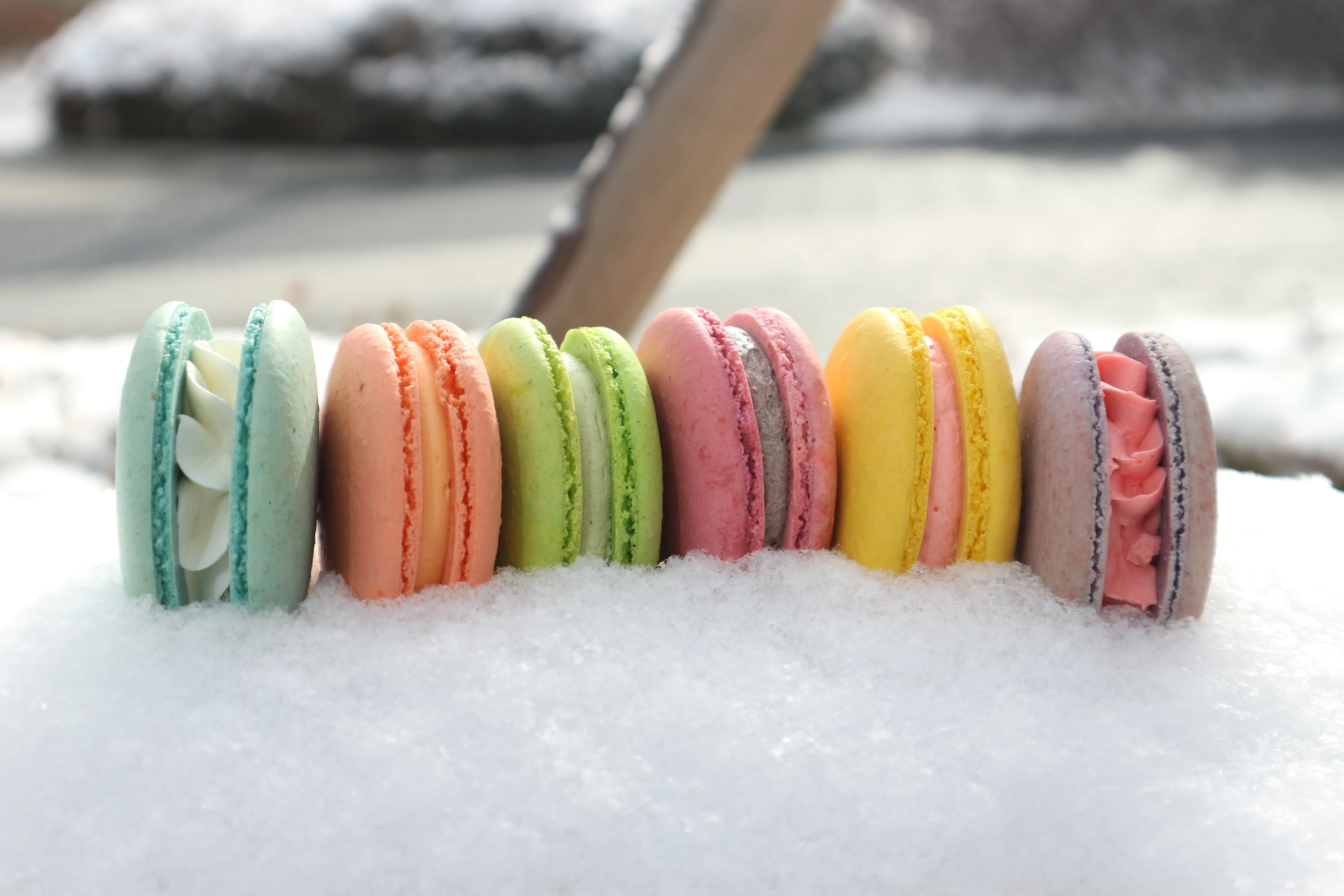 콩콩 프렌치 마카롱 12가지맛