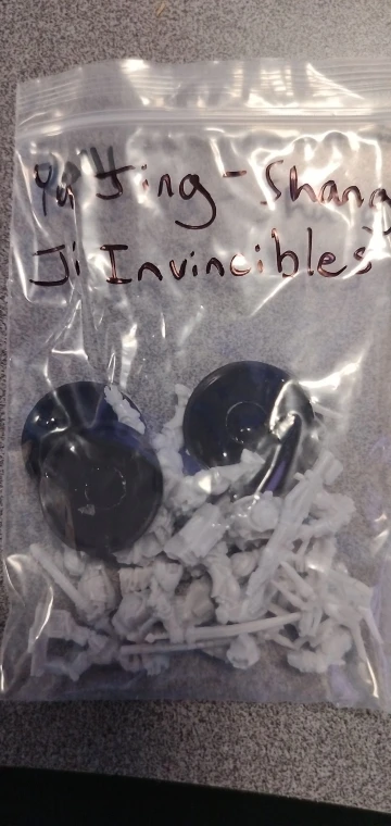 Buyer photo of this resin kit