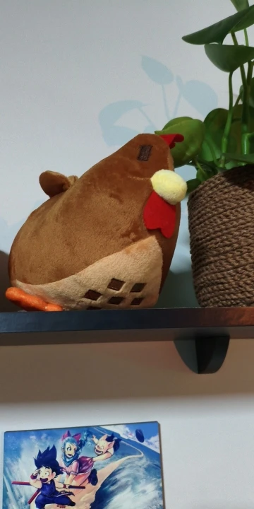 구매후기