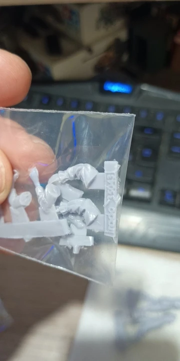 Buyer photo of this resin kit