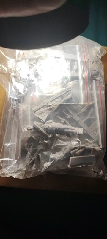 Buyer photo of this resin kit