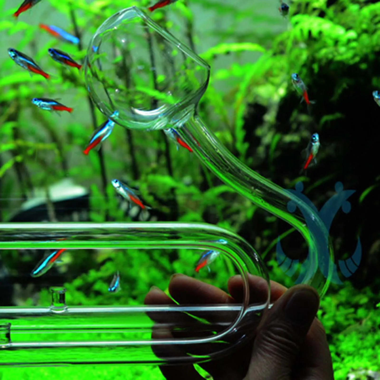 Aquarien-Lilienrohr, Ein- und Auslaufrohr für Aquarien, Wasserpflanzen-Tankfilter, 10/17mm Transparentes, Leicht zu Reinigendes Glas-Lilienrohr – Detail 3