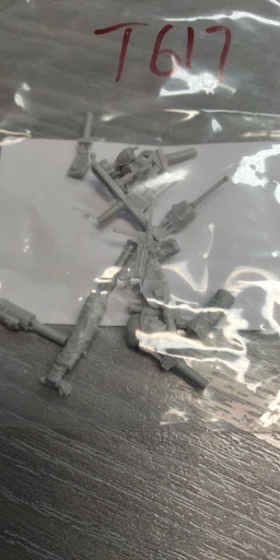 Buyer photo of this resin kit