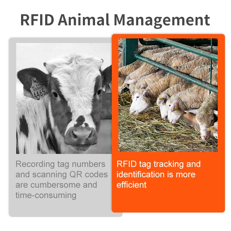 ISO11784/85 ISI180006C RFID 동물 귀 태그, 양 농장 가축 관리를 위한 IP67 TPU 소재 양 귀 태그, 100 개