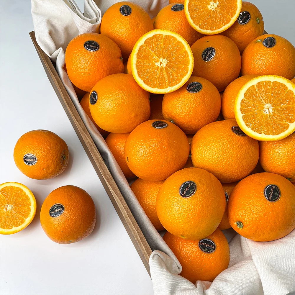 التسمية الأمريكية السوداء البرتقالية