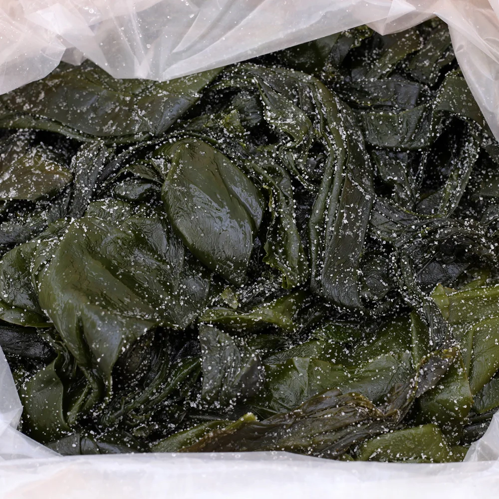 Wooseong, Wando salted Kelp seaweed dasima 10kg