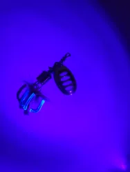 Imagen de reseña 3