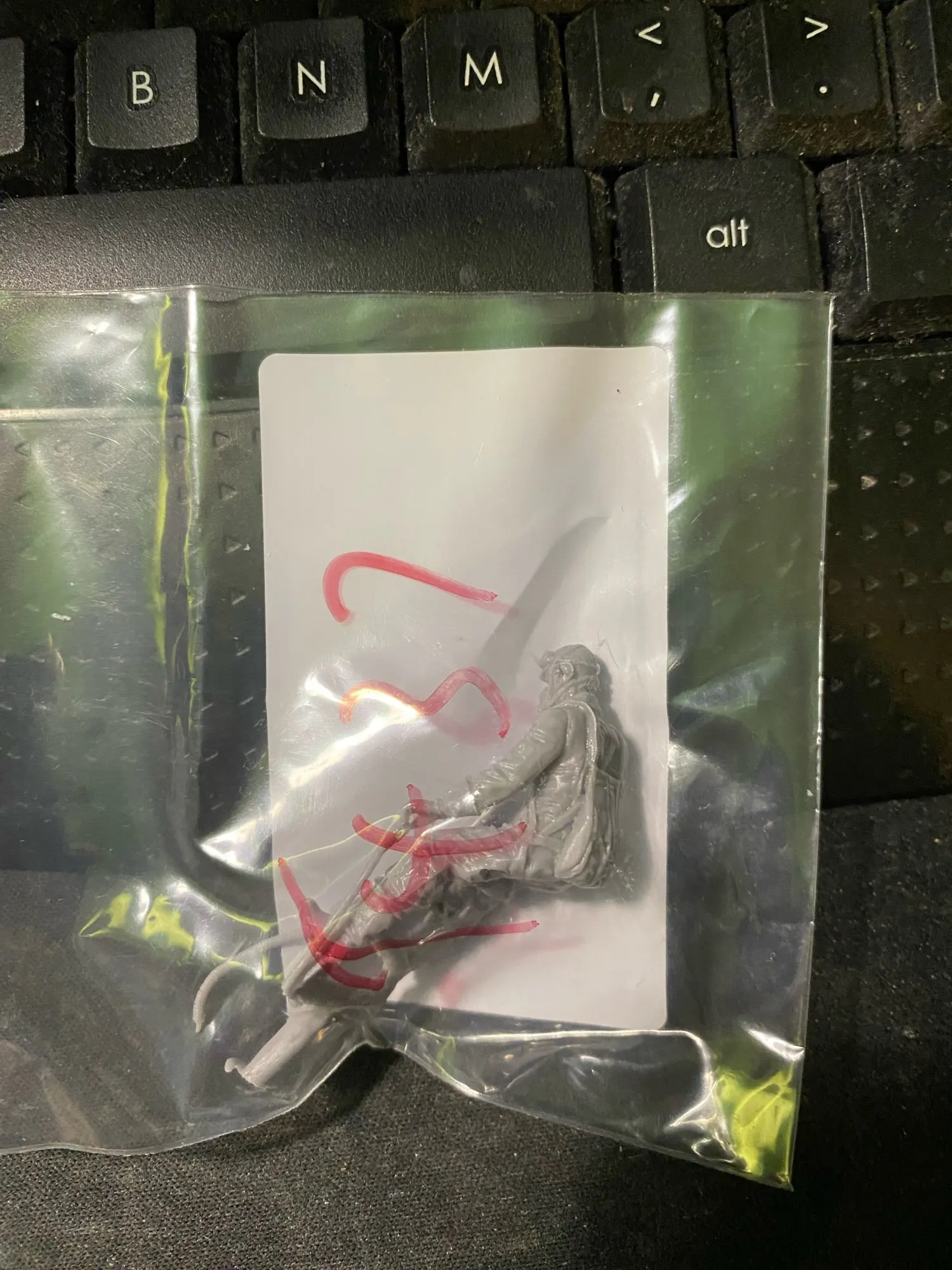 Buyer photo of this resin kit