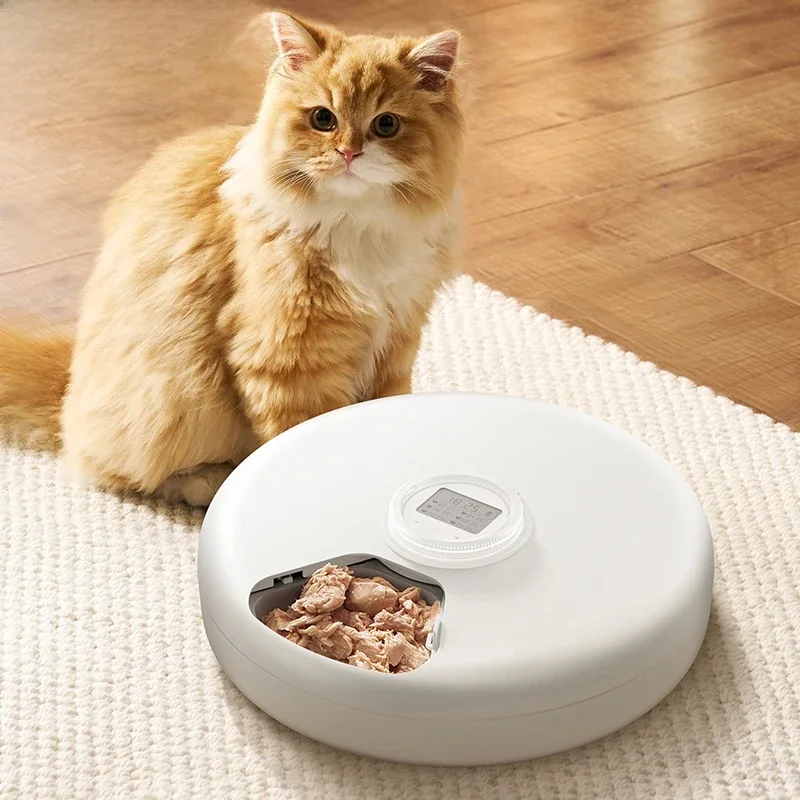 ROJECO mangeoire automatique pour animaux de compagnie distributeur de nourriture sèche humide 6 repas sans fil intelligent mangeoire pour chat distributeur de croquettes pour chat chien animaux de