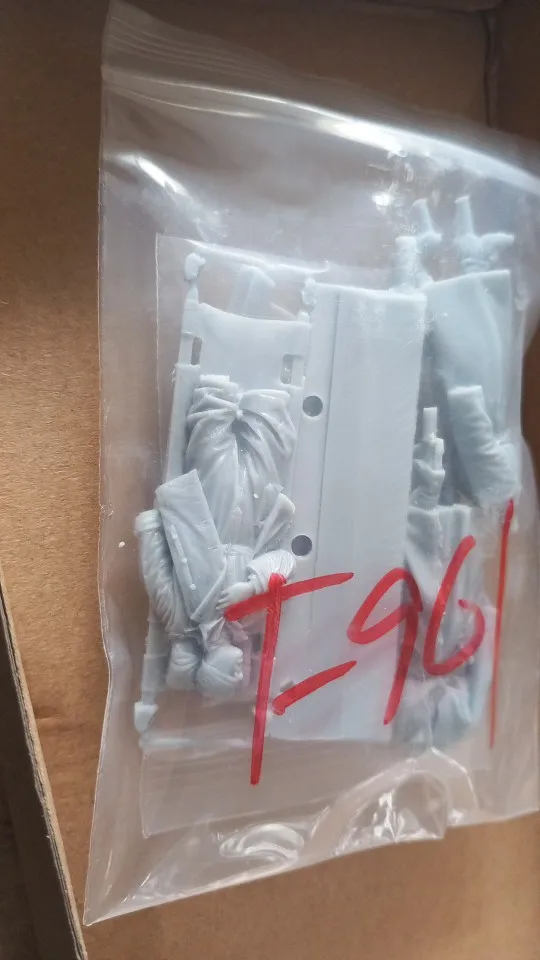 Buyer photo of this resin kit