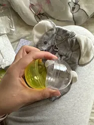 Imagen de reseña 5