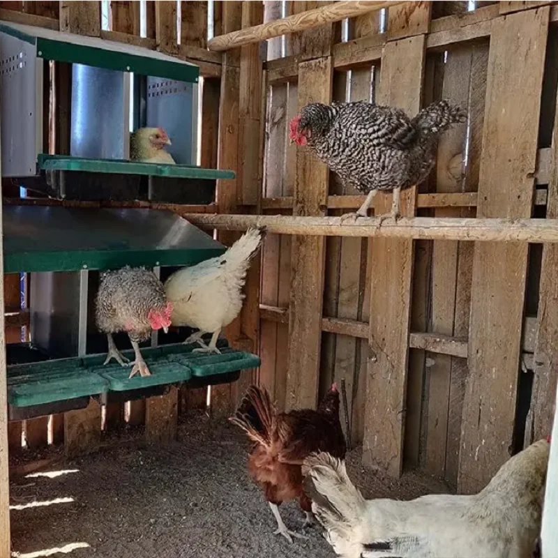 Nid de poulet, boîte à œufs suspendue ou au sol, épaissi, galvanisé, Durable, facile à assembler, poules pondérées, maison à œufs