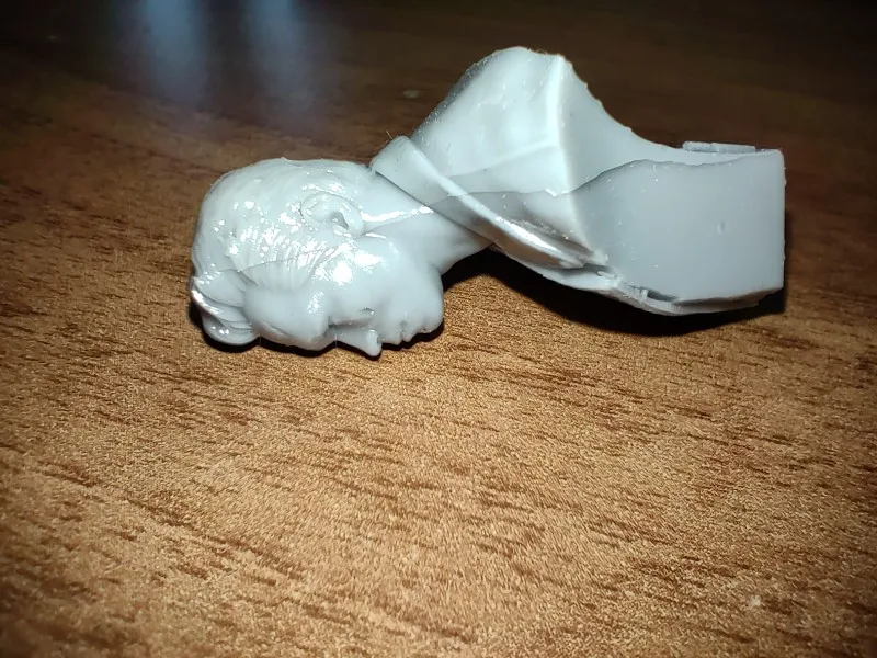 Buyer photo of this resin kit