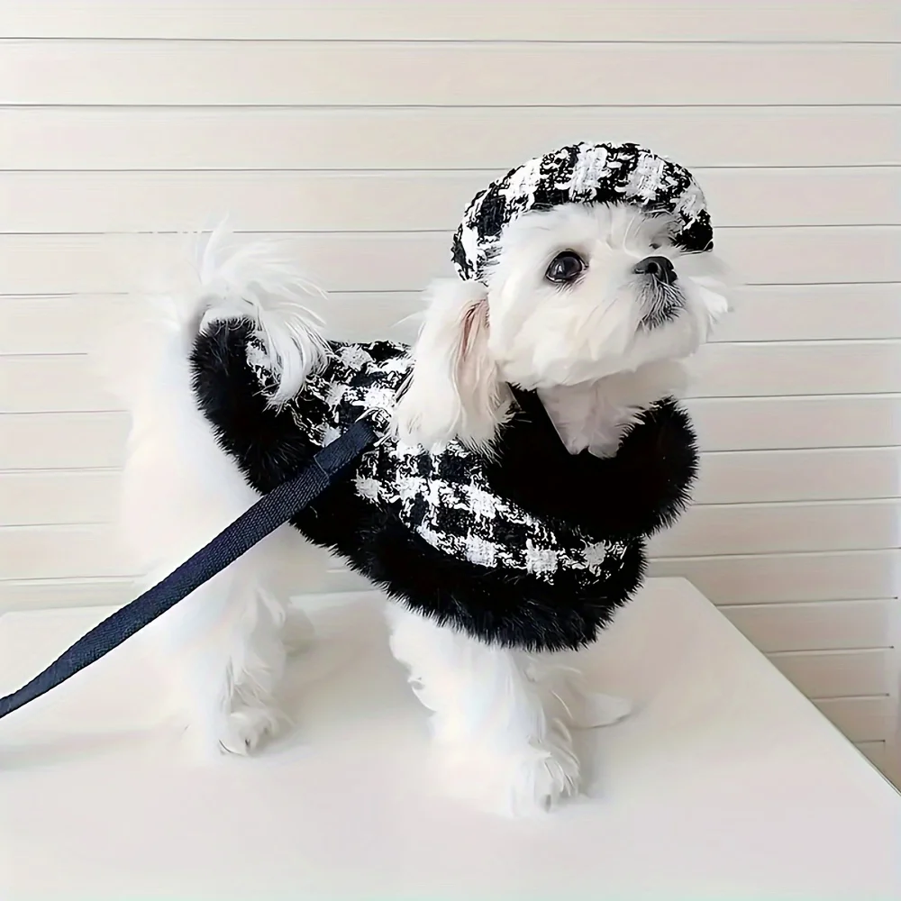 Small and medium-sized dog black plush cloak adjustable jacket D-loop traction rope fashionable hat suit set for cats and dogs a