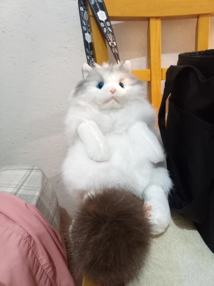 리뷰 사진
