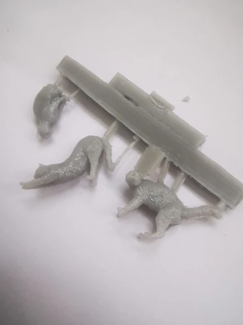 Buyer photo of this resin kit