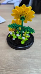 Imagen de reseña 2