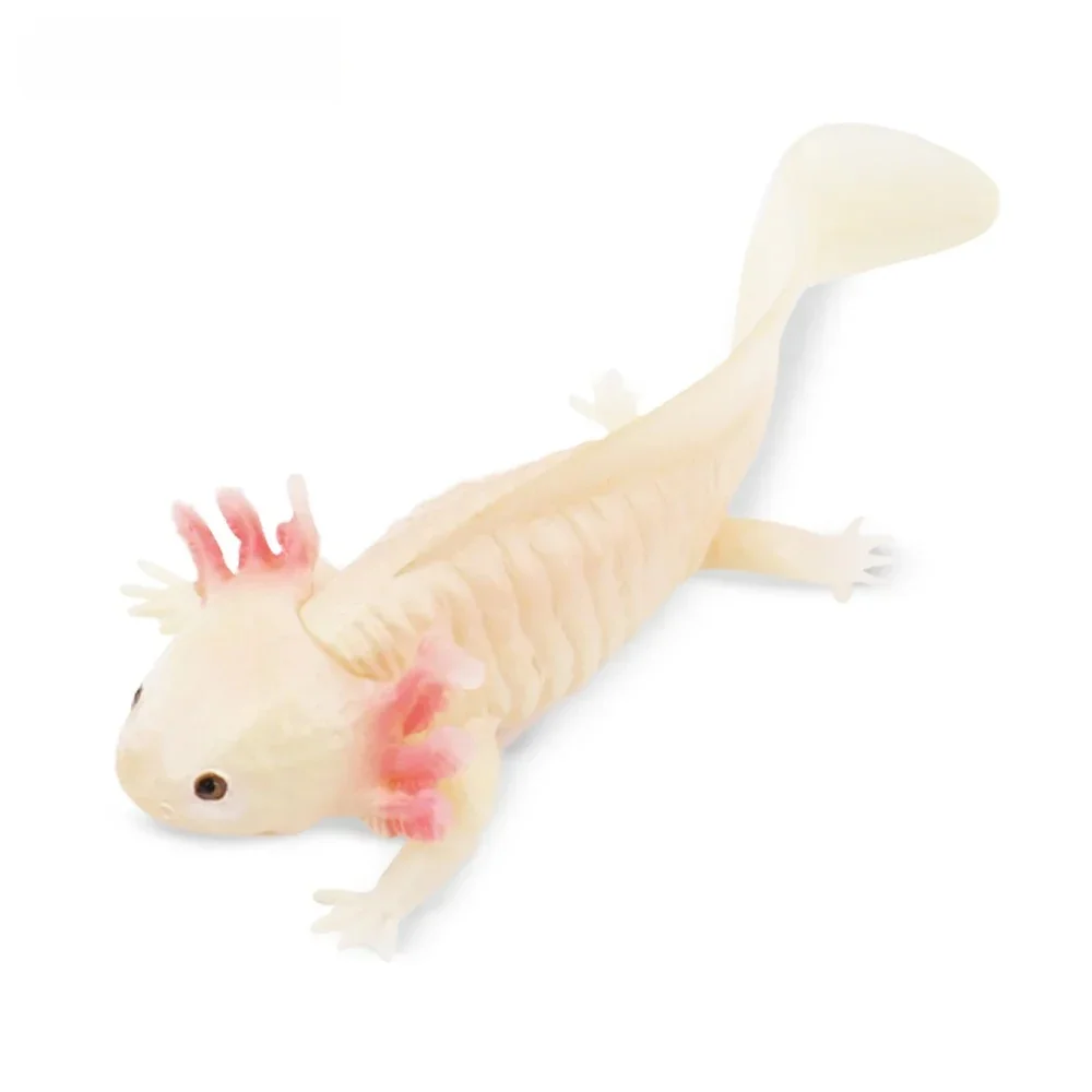 Toymany-Modèle animal de reptile Axolotl pour enfants, simulation de salamandre, mini figurines, poupées d'action, jouets d'Auckland, cadeau