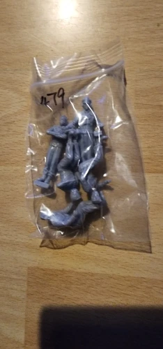 Buyer photo of this resin kit