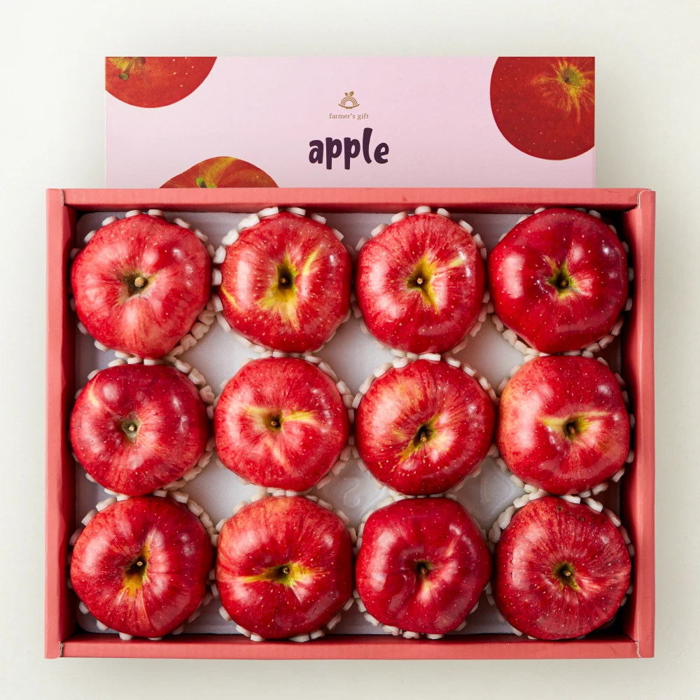 [Next Briggs] High-sugar Apple Gift Set 3kg or more (10-12 mouth/Special)