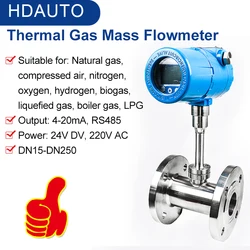 G1 DN25 High Precision Thermal Gas Mass Flow Meter RS485 Pipeline Compressed Air Oxygen Nitrogen Natural Gas Metering