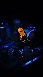 Imagen de reseña 4