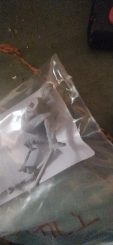 Buyer photo of this resin kit