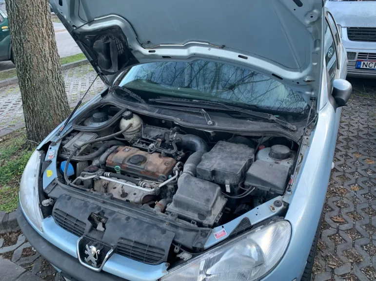 

2 шт. демпфер капота для Peugeot 206 206CC 207i Citroën C2 1999-2016 передний капот модифицированные газовые стойки подъемная опора амортизатора поршневые стержни