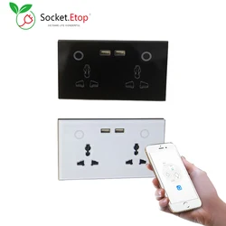 Zigbee Universal Plug Smart Inwall Socket Power Outlets with Double USB Charger Works with Tuya Alex Google