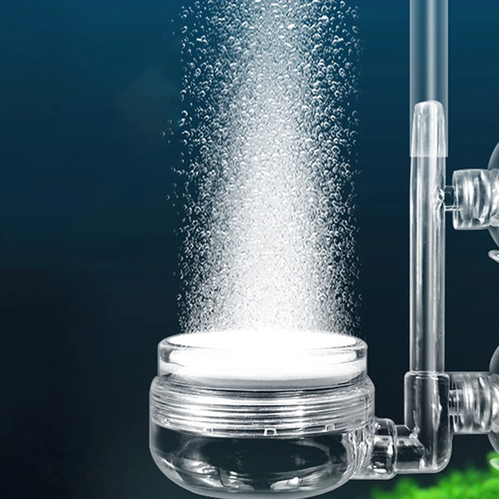 حوض السمك CO2 الناشر الصامت حوض السمك الفوار لبركة حوض السمك دلو صغير الفولاذ المقاوم للصدأ حوض السمك الكربون الأكسجين الناشر