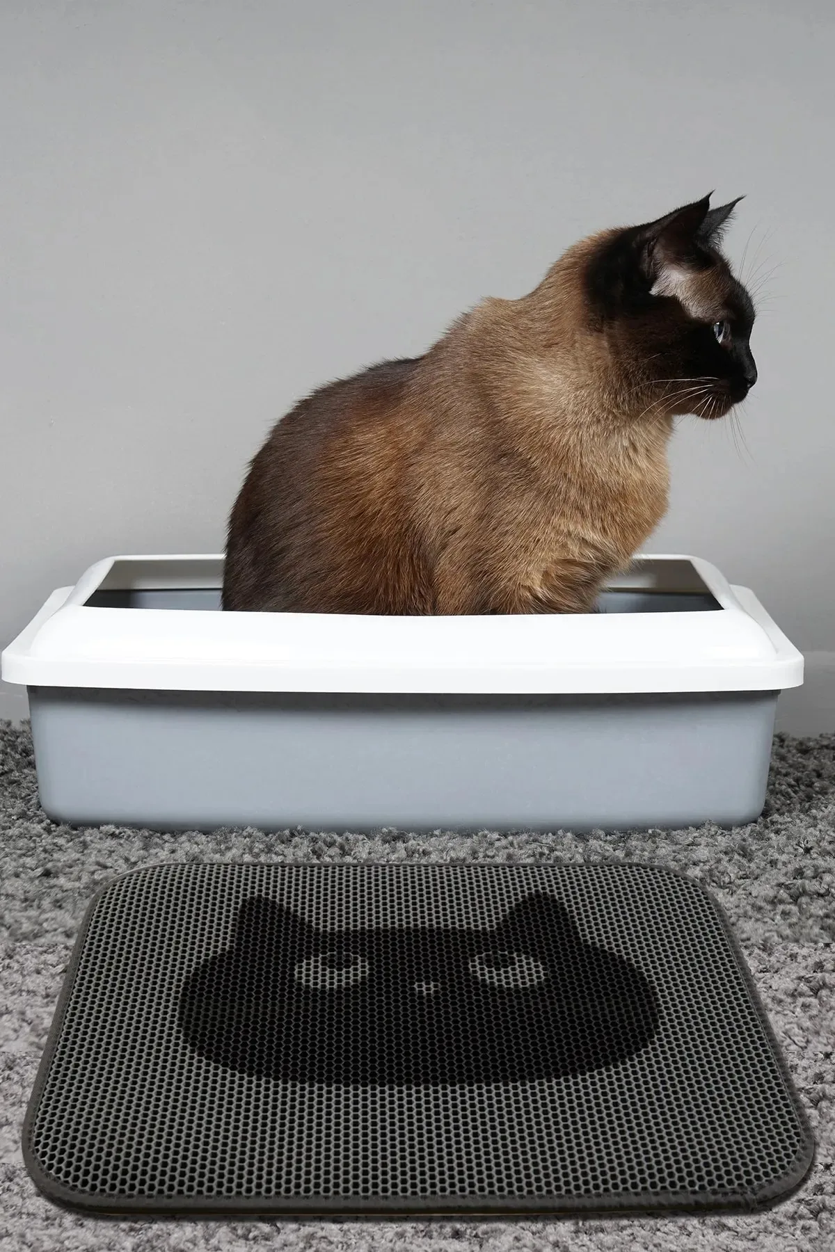 

Cat Litter and Toilet Mat Prevent the Accumulation of Bacteria Unpleasant Odors in Your Home, keeping Our Cat Friends Health