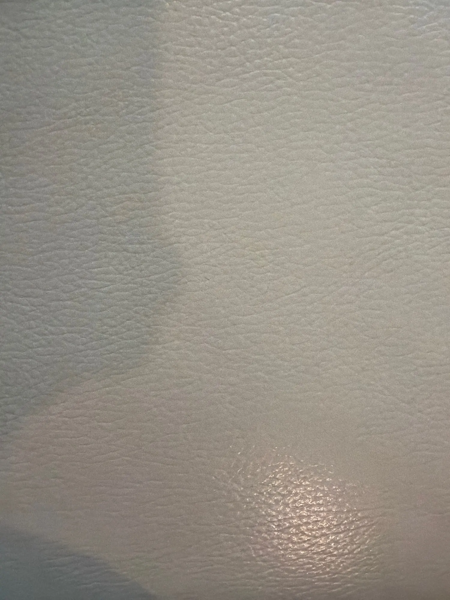 실물 포토 리뷰
