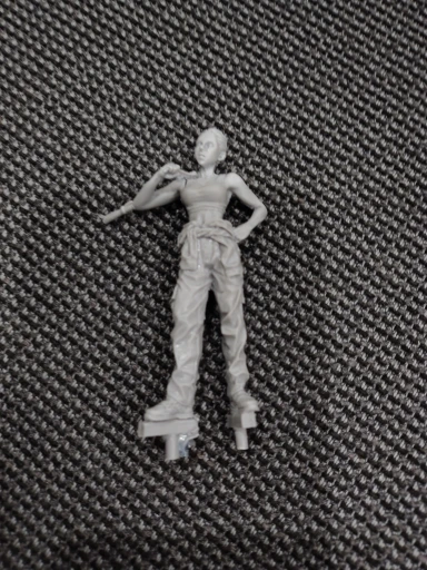Buyer photo of this resin kit