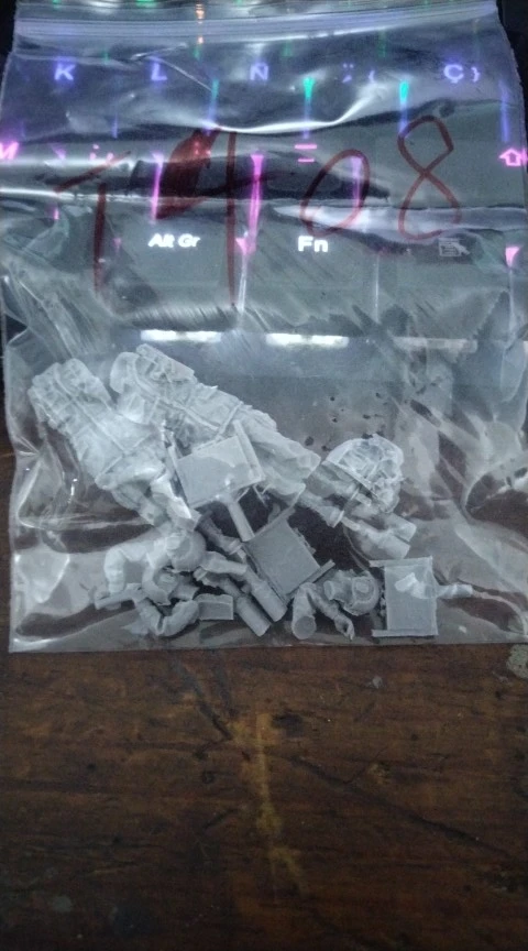 Buyer photo of this resin kit