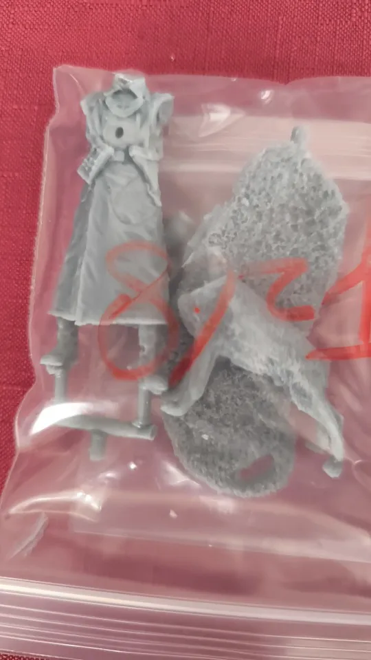 Buyer photo of this resin kit