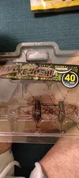 Imagen de reseña 2