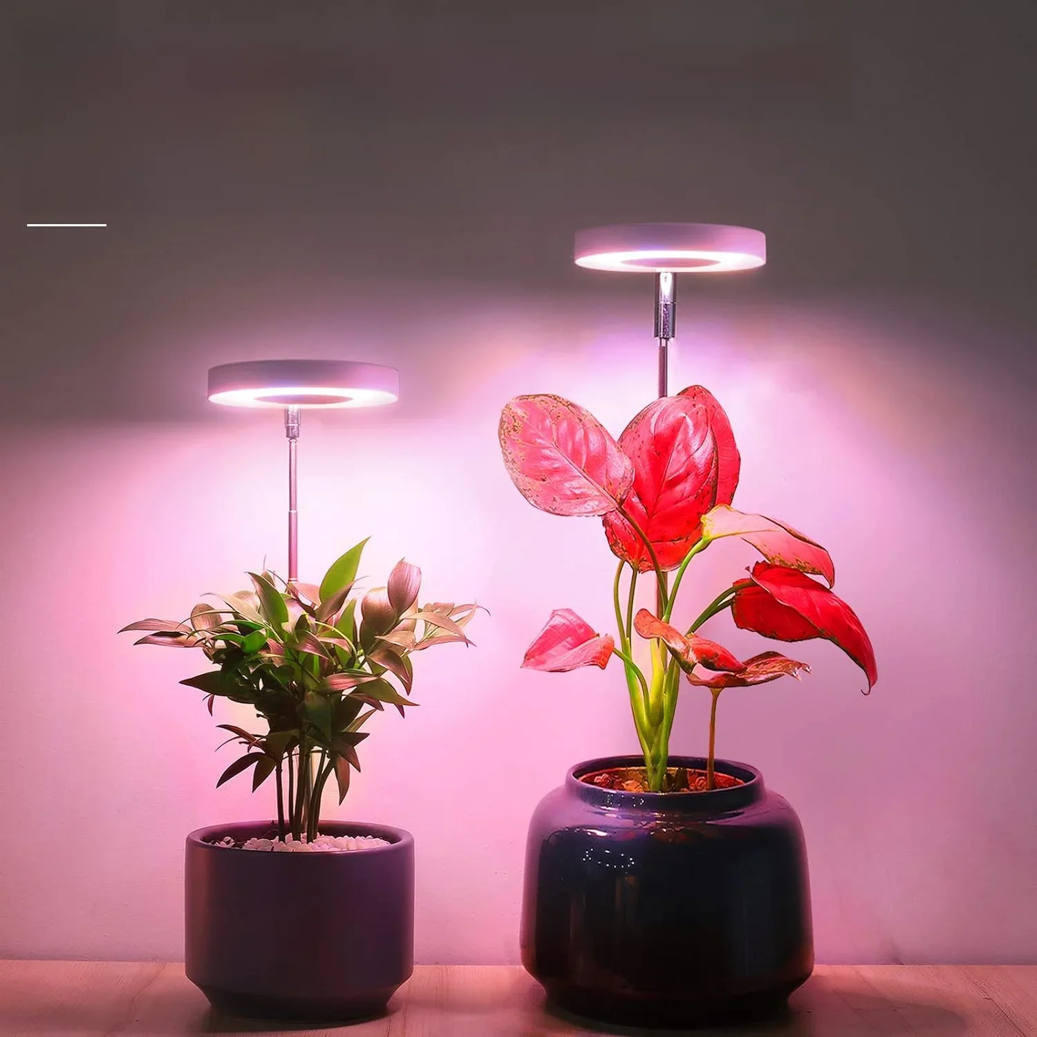 Lampe de croissance LED pour plantes d'intérieur, spectre complet de qualité supérieure, hauteur réglable, gradation à 4 niveaux, minuterie 2/4/8H, parfaite pour les soins des petites plantes