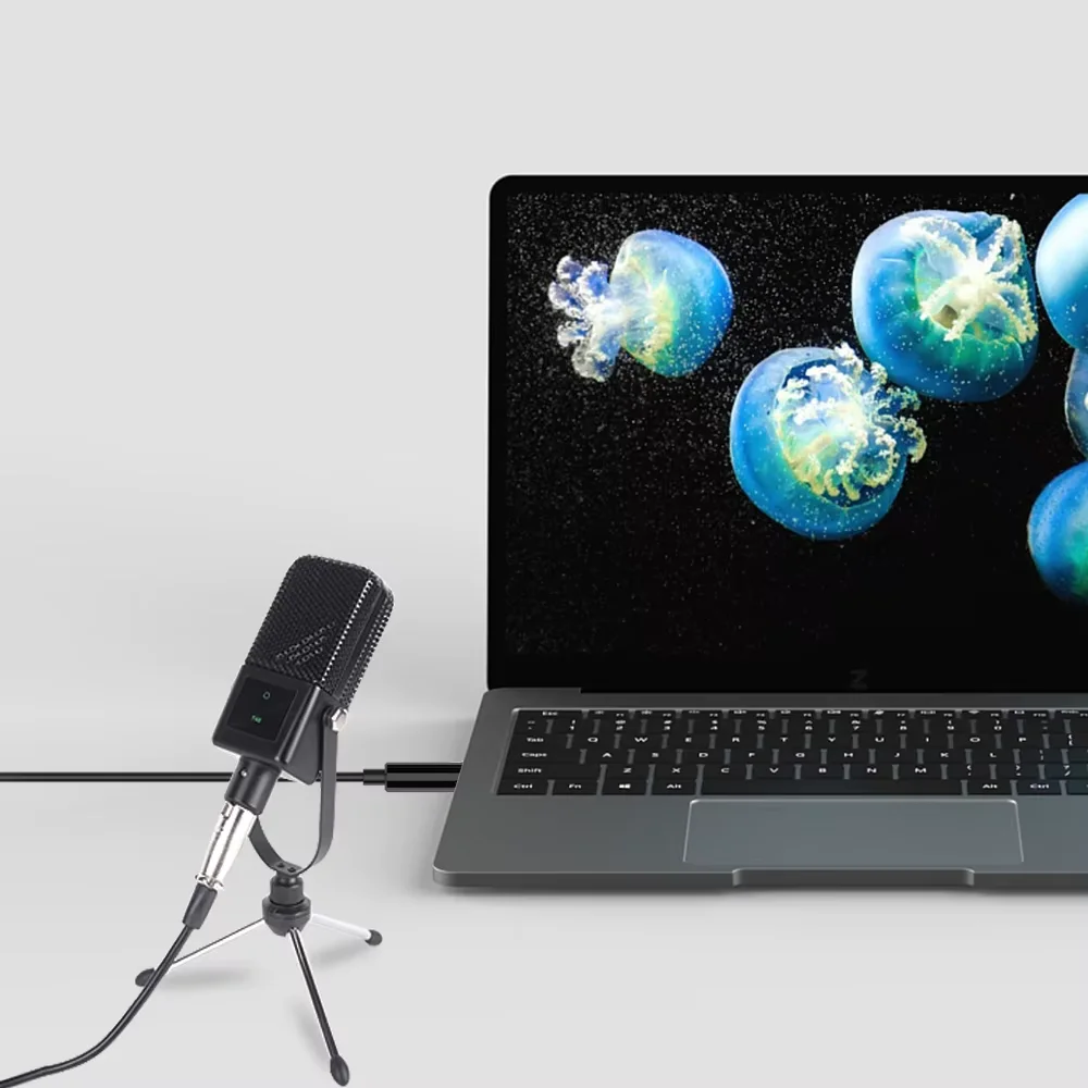 CM200 PC 콘덴서 마이크 3.5mm 잭 플러그 앤 플레이 미니 삼각대 스탠드 포함 라이브 방송/휴대폰용 사운드 녹음