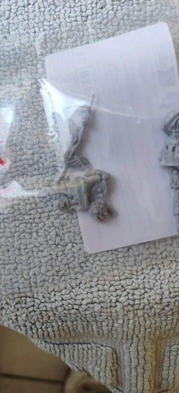 Buyer photo of this resin kit