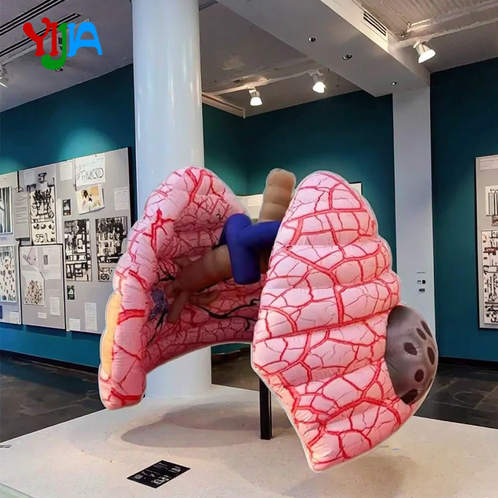 

Giant Inflatable Lung Medical Exhibits Advertising Large Inflatable Human Organs Model Replica for School Teaching/Display Activ