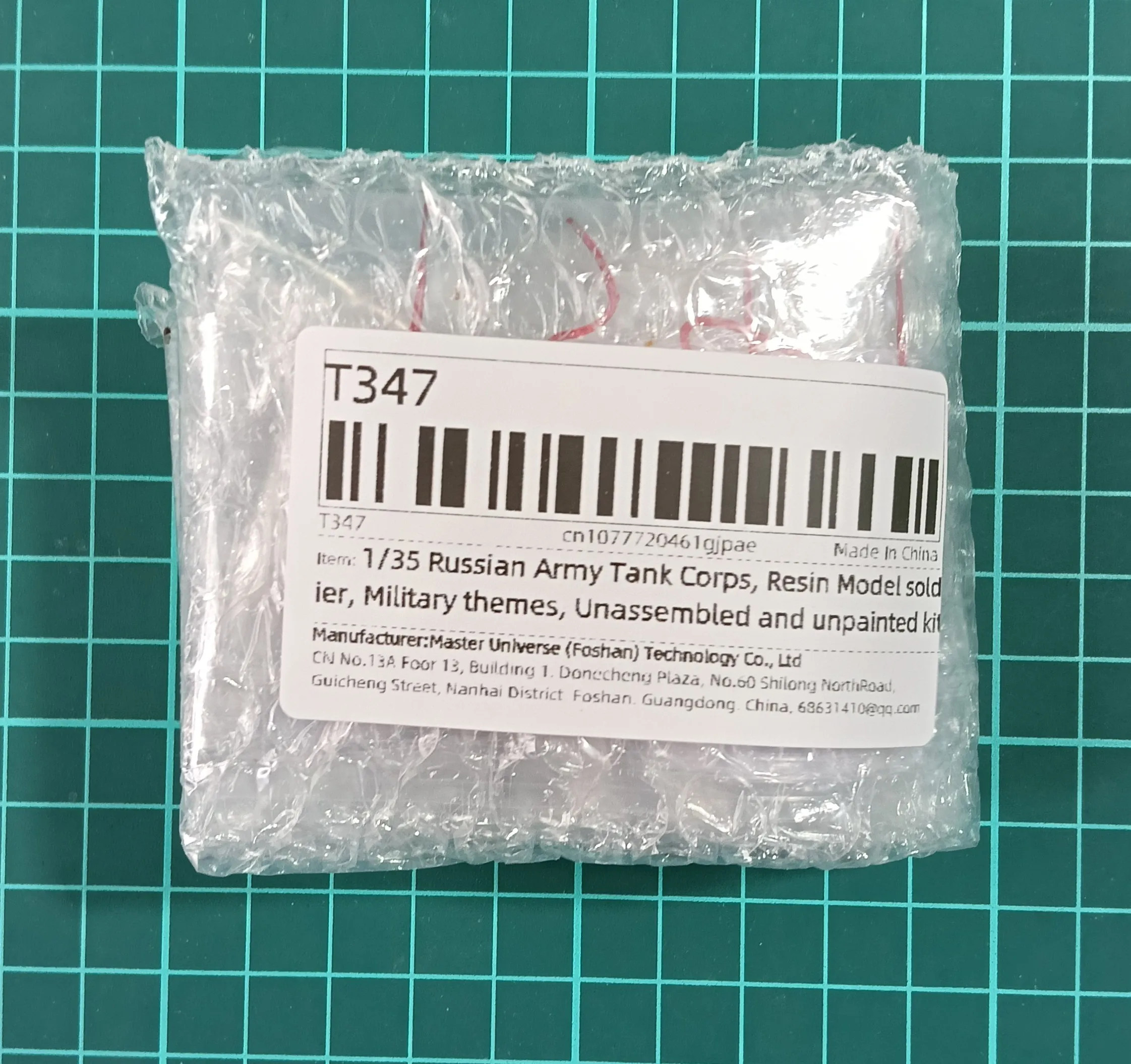 Buyer photo of this resin kit