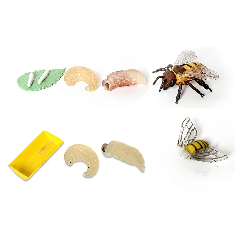 Figurines Miniatures de Simulation d'Insectes, Jouet de SubKRde la Vie, Ensemble de 4 Pièces