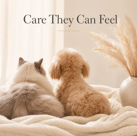 Universal Pet Detangling Brush, Massages Out Knots & Mats. 19cm, for Long/Short Hair, Soothing